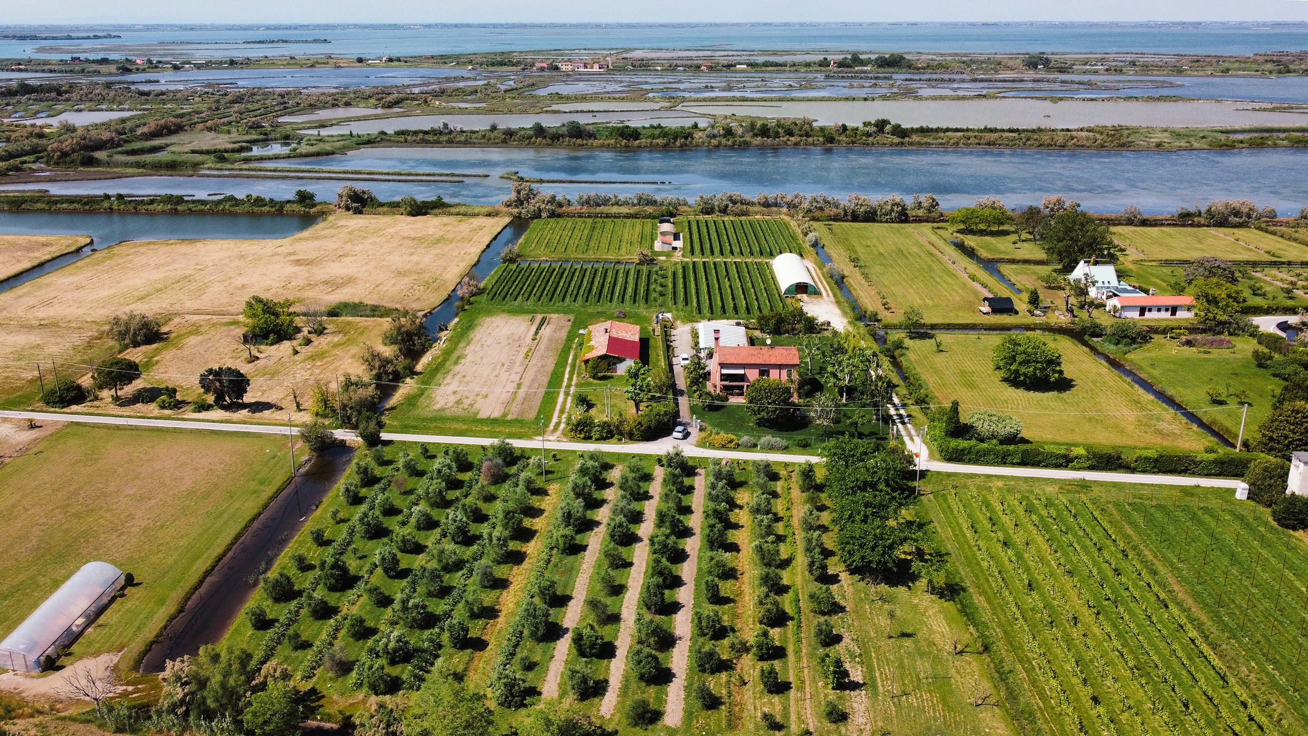 dji_fly_20250514_150932_158_1747229050338_photo_optimized_mod